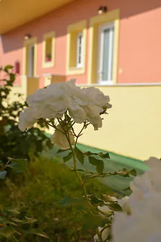 Natural Blue Suites Apartment Sidari (Corfu)