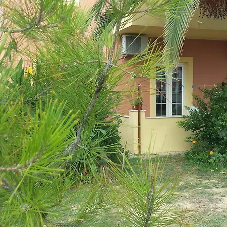 Natural Blue Suites